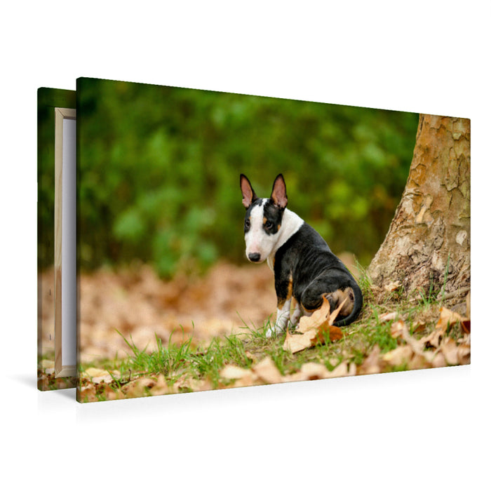 Premium Textil-Leinwand Premium Textil-Leinwand 120 cm x 80 cm quer Bulllterrierwelpe sitzt an einem Baum