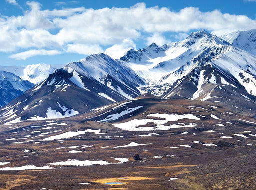 Alaska Range, Denali National Park - CALVENDO Foto-Puzzle - calvendoverlag 39.99
