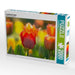 Leuchtende Tulpen - CALVENDO Foto-Puzzle - calvendoverlag 39.99