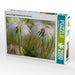 Federpuscheliger Fruchtstand einer Clematis - CALVENDO Foto-Puzzle - calvendoverlag 41.99