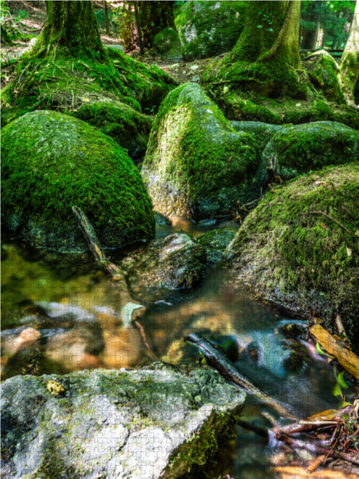 Sasbachwalden Gaishöll-Wasserfälle - CALVENDO Foto-Puzzle - calvendoverlag 40.99