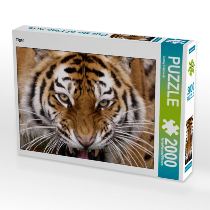 Tiger - CALVENDO Foto-Puzzle - calvendoverlag 29.99