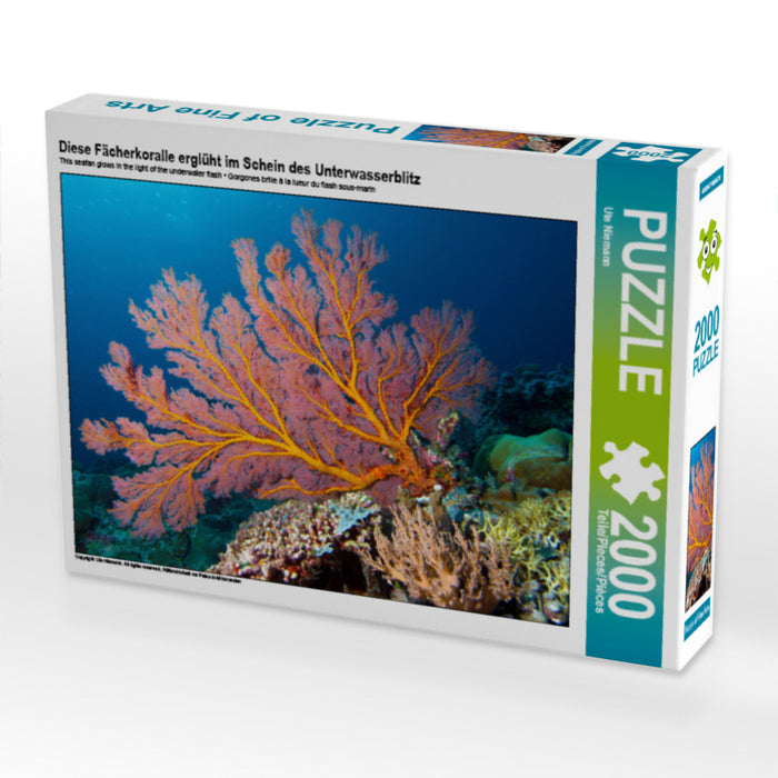 Diese Fächerkoralle erglüht im Schein des Unterwasserblitz - CALVENDO Foto-Puzzle - calvendoverlag 29.99