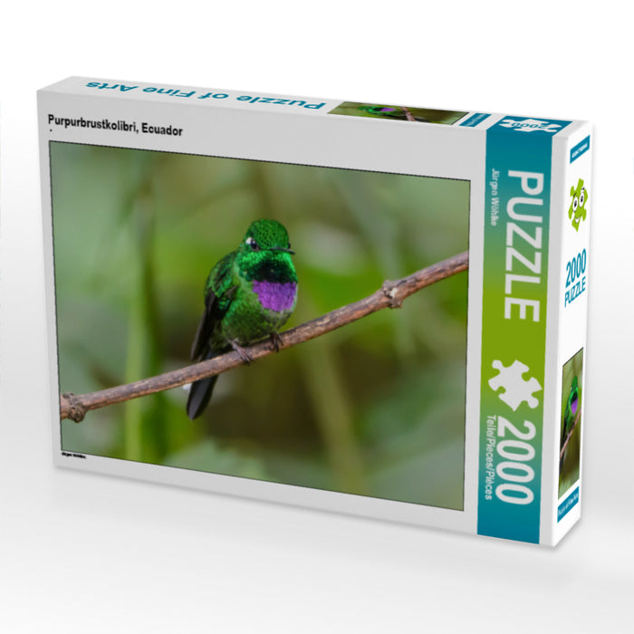 Purpurbrustkolibri, Ecuador - CALVENDO Foto-Puzzle - calvendoverlag 39.99