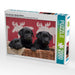 Drei schwarze Labrador Welpen - CALVENDO Foto-Puzzle - calvendoverlag 40.99