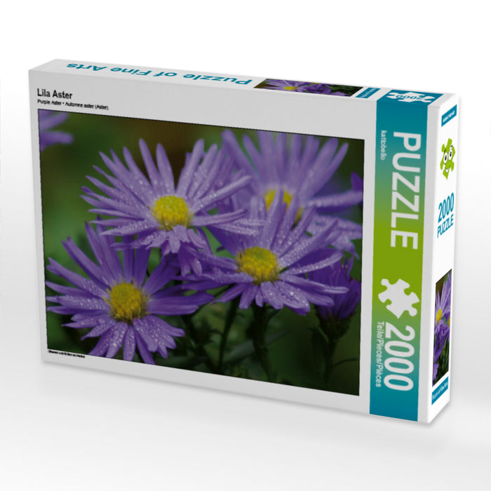 Lila Aster - CALVENDO Foto-Puzzle - calvendoverlag 39.99