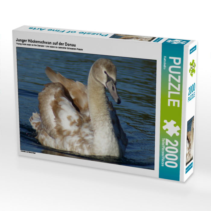 Junger Höckerschwan auf der Donau - CALVENDO Foto-Puzzle - calvendoverlag 39.99