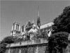 Notre Dame in Pais - CALVENDO Foto-Puzzle - calvendoverlag 39.99