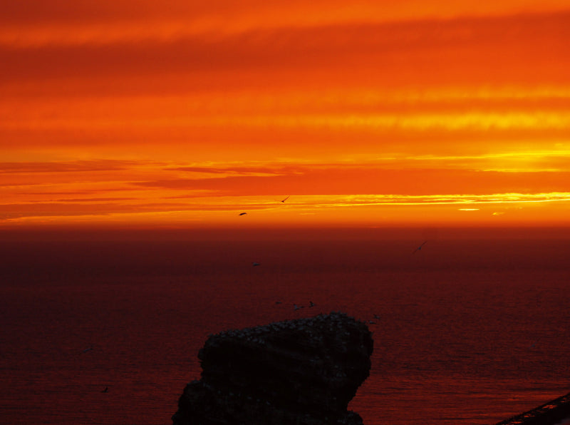 Sonnenuntergang über dem Vogelfelsen - CALVENDO Foto-Puzzle - calvendoverlag 39.99