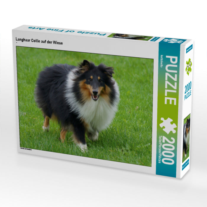 Langhaar Collie auf der Wiese - CALVENDO Foto-Puzzle - calvendoverlag 29.99