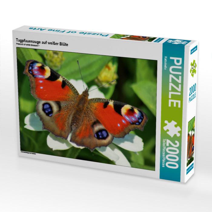 Tagpfauenauge auf weißer Blüte - CALVENDO Foto-Puzzle - calvendoverlag 39.99