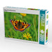 Fuchs auf einer Blumenwiese - CALVENDO Foto-Puzzle - calvendoverlag 29.99