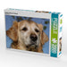 Golden Retriever Portrait - CALVENDO Foto-Puzzle - calvendoverlag 39.99