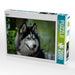 Husky - CALVENDO Foto-Puzzle - calvendoverlag 29.99