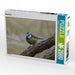 Blaumeise - CALVENDO Foto-Puzzle - calvendoverlag 39.99