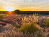 Sonnenuntergang in der Mehlinger Heide - CALVENDO Foto-Puzzle - calvendoverlag 29.99