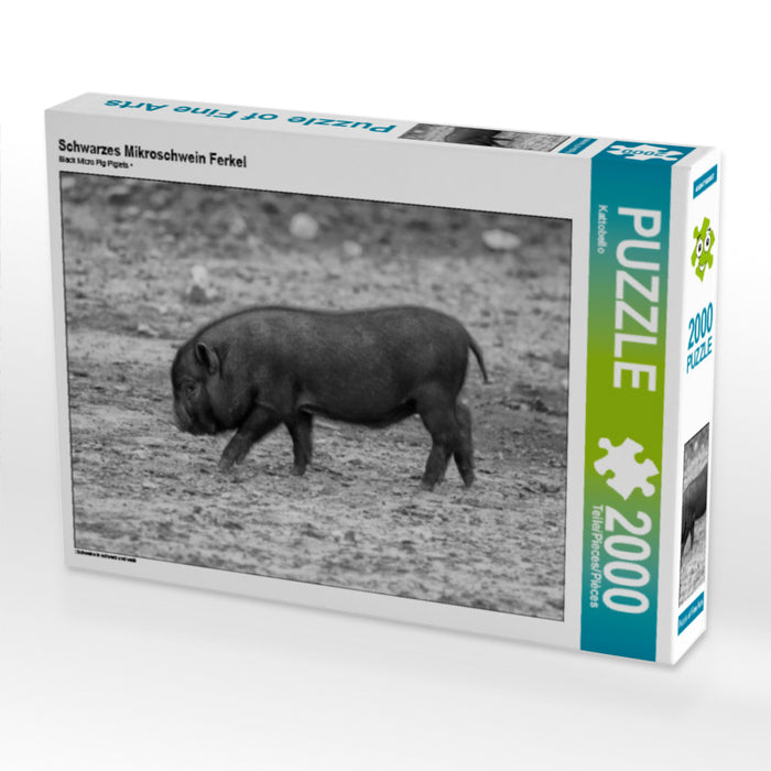 Schwarzes Mikroschwein Ferkel - CALVENDO Foto-Puzzle - calvendoverlag 39.99