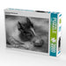 Schlafendes Minischwein - CALVENDO Foto-Puzzle - calvendoverlag 39.99