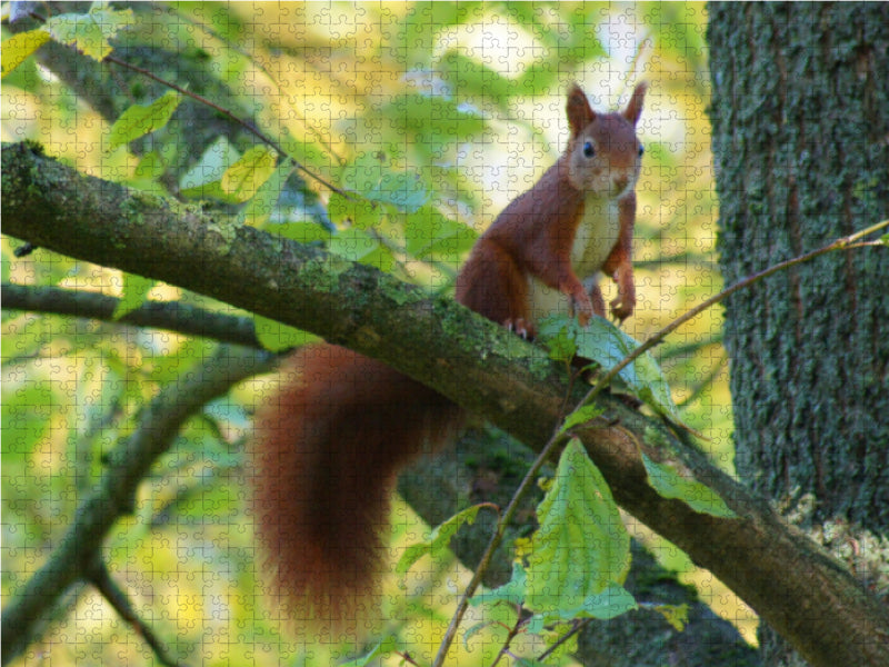 Mach Männchen - CALVENDO Foto-Puzzle - calvendoverlag 39.99