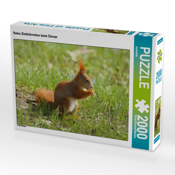 Rotes Eichhörnchen beim Dinner - CALVENDO Foto-Puzzle - calvendoverlag 39.99