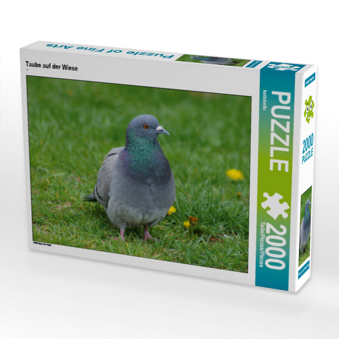 Taube auf der Wiese - CALVENDO Foto-Puzzle - calvendoverlag 29.99