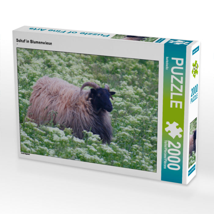 Schaf in Blumenwiese - CALVENDO Foto-Puzzle - calvendoverlag 29.99