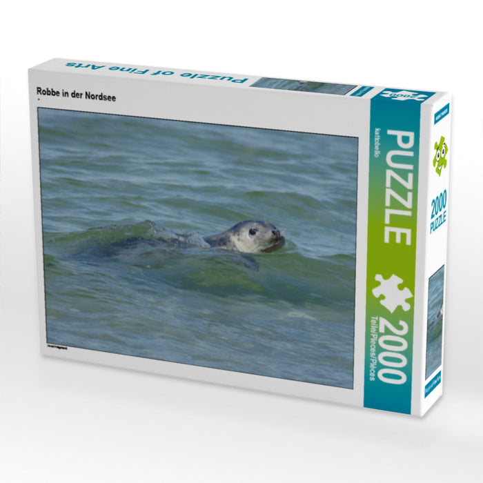 Robbe in der Nordsee - CALVENDO Foto-Puzzle - calvendoverlag 29.99