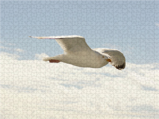 Fliegende Silbermöwe - CALVENDO Foto-Puzzle - calvendoverlag 29.99