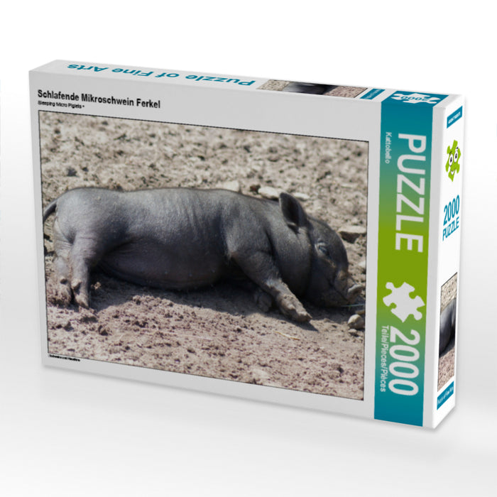 Schlafende Mikroschwein Ferkel - CALVENDO Foto-Puzzle - calvendoverlag 29.99