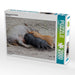 Mikroschwein Familie - CALVENDO Foto-Puzzle - calvendoverlag 29.99