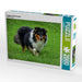 Langhaar Collie tricolor - CALVENDO Foto-Puzzle - calvendoverlag 29.99