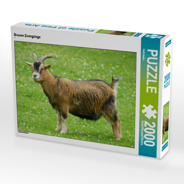 Braune Zwergziege - CALVENDO Foto-Puzzle - calvendoverlag 29.99