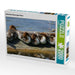 Schlafende Gänsesäger Küken - CALVENDO Foto-Puzzle - calvendoverlag 29.99