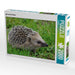 Igel auf der Wiese - CALVENDO Foto-Puzzle - calvendoverlag 29.99