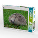 Igel - CALVENDO Foto-Puzzle - calvendoverlag 29.99