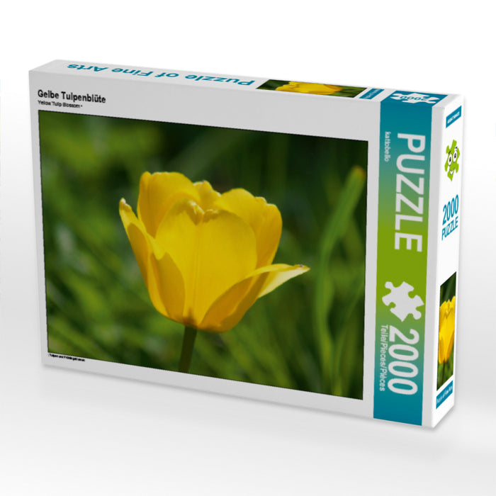 Gelbe Tulpenblüte - CALVENDO Foto-Puzzle - calvendoverlag 29.99
