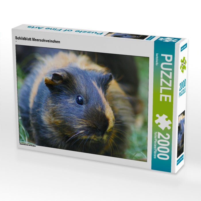 Schildblatt Meerschweinchen - CALVENDO Foto-Puzzle - calvendoverlag 29.99