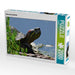 Schmuckschildkröte - CALVENDO Foto-Puzzle - calvendoverlag 39.99