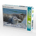 Robben Baby am Strand von Helgoland - CALVENDO Foto-Puzzle - calvendoverlag 29.99