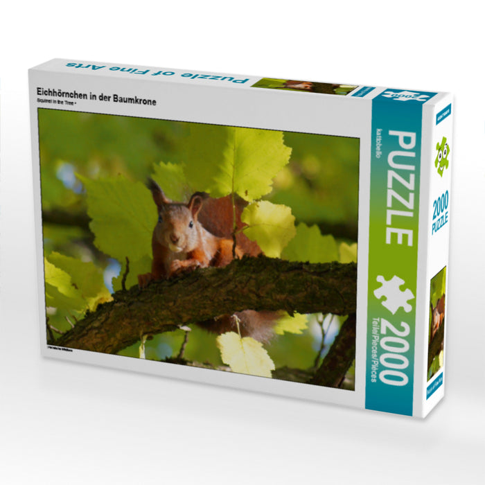Eichhörnchen in der Baumkrone - CALVENDO Foto-Puzzle - calvendoverlag 39.99