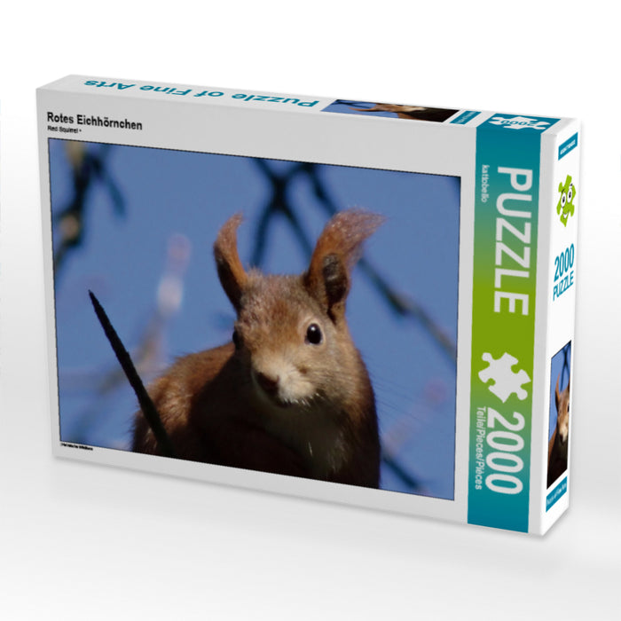 Rotes Eichhörnchen - CALVENDO Foto-Puzzle - calvendoverlag 29.99