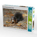 Braunes Eichhörnchen Baby im Herbst - CALVENDO Foto-Puzzle - calvendoverlag 29.99