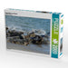 Kegelrobben am Strand - CALVENDO Foto-Puzzle - calvendoverlag 39.99