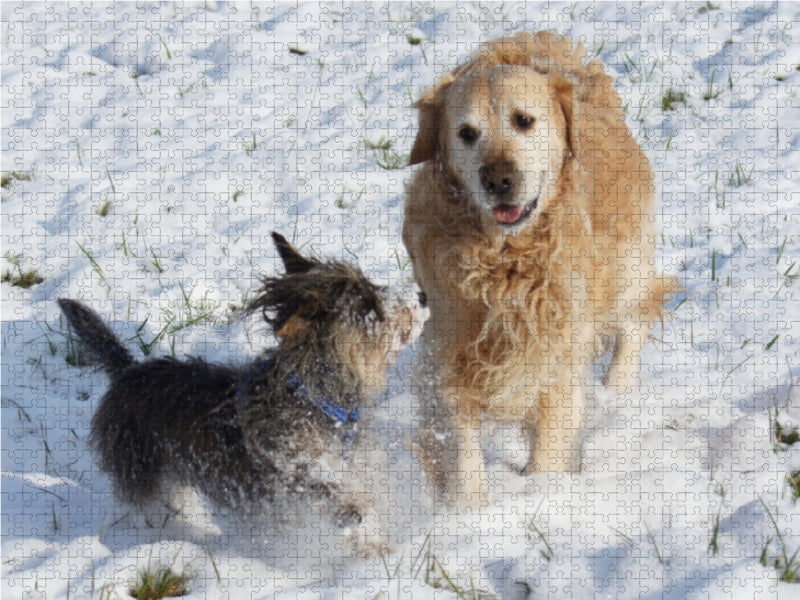 Hundefreundschaft im Winter - CALVENDO Foto-Puzzle - calvendoverlag 39.99