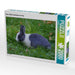 Grau weißes Kaninchen on Tour - CALVENDO Foto-Puzzle - calvendoverlag 39.99