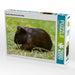 Dunkles Meerschweinchen Baby - CALVENDO Foto-Puzzle - calvendoverlag 39.99