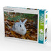 Kaninchen im Herbstlaub - CALVENDO Foto-Puzzle - calvendoverlag 39.99