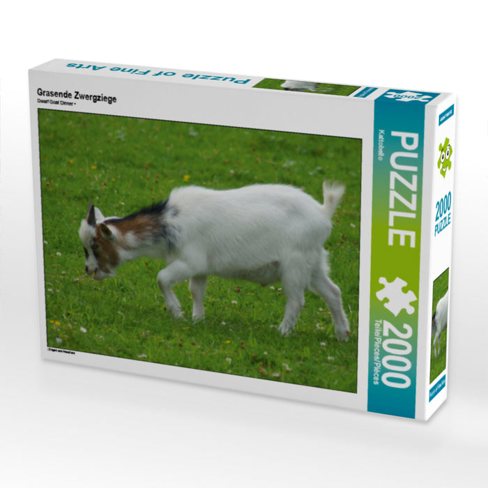 Grasende Zwergziege - CALVENDO Foto-Puzzle - calvendoverlag 39.99