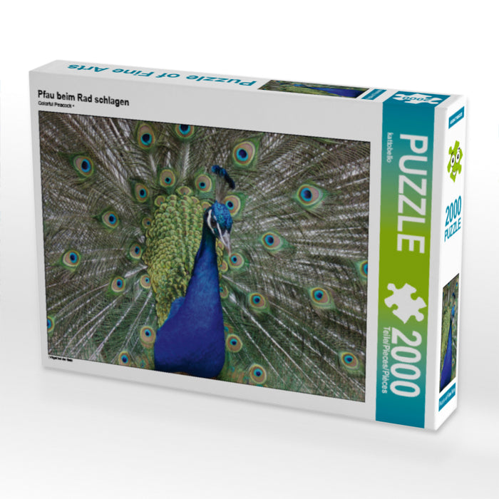 Pfau beim Rad schlagen - CALVENDO Foto-Puzzle - calvendoverlag 39.99