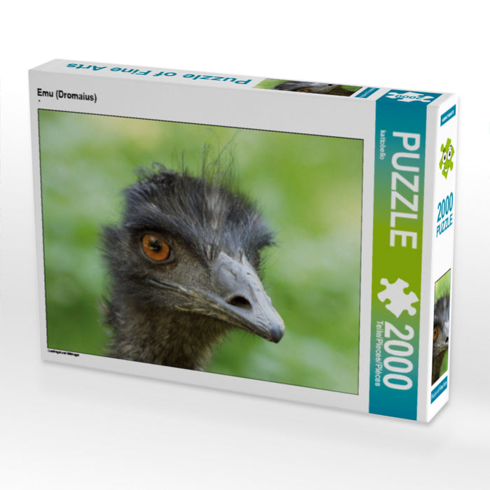 Emu (Dromaius) - CALVENDO Foto-Puzzle - calvendoverlag 39.99